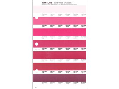 PANTONE PMS SOLID CHIPS ERSATZSEITE 55U 1