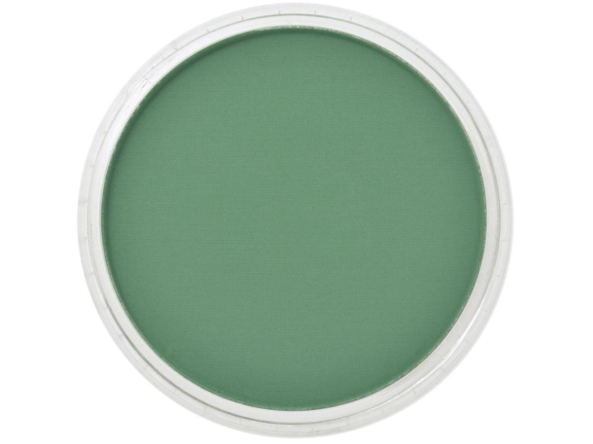 PANPASTEL 9ML PERMANENT GREEN SHADE 640.3 1
