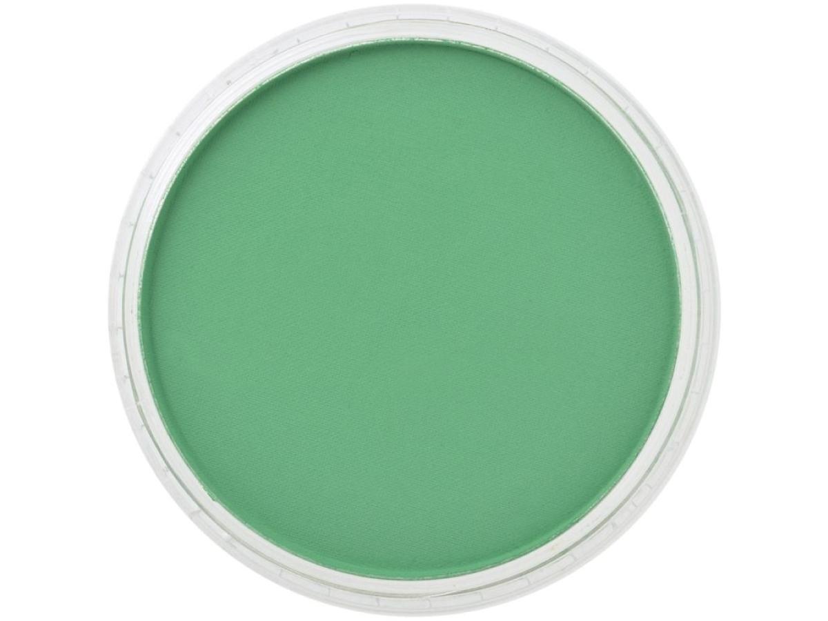 PANPASTEL 9ML PERMANENT GREEN 640.5 1