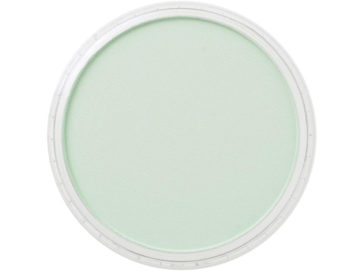 PANPASTEL 9ML PERMANENT GREEN TINT 640.8 1