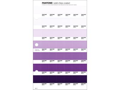 PANTONE PMS SOLID CHIPS ERSATZSEITE 104C 1