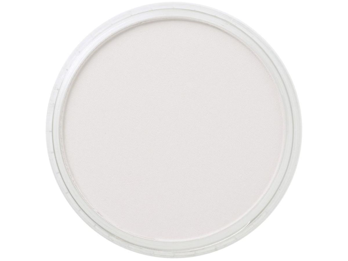 PANPASTEL 9ML NEUTRAL GREY TINT 820.8 1