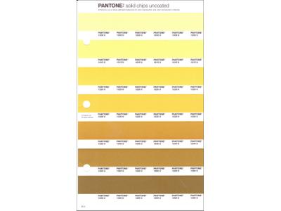 PANTONE PMS SOLID CHIPS ERSATZSEITE 8U 1