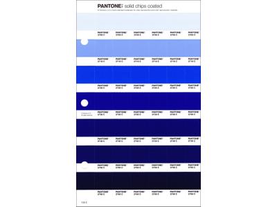 PANTONE PMS SOLID CHIPS ERSATZSEITE 125C 1
