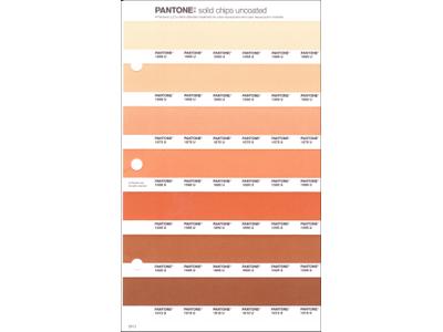 PANTONE PMS SOLID CHIPS ERSATZSEITE 24U 1