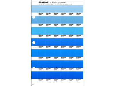 PANTONE PMS SOLID CHIPS ERSATZSEITE 134C 1