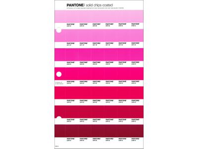 PANTONE PMS SOLID CHIPS ERSATZSEITE 53C 1