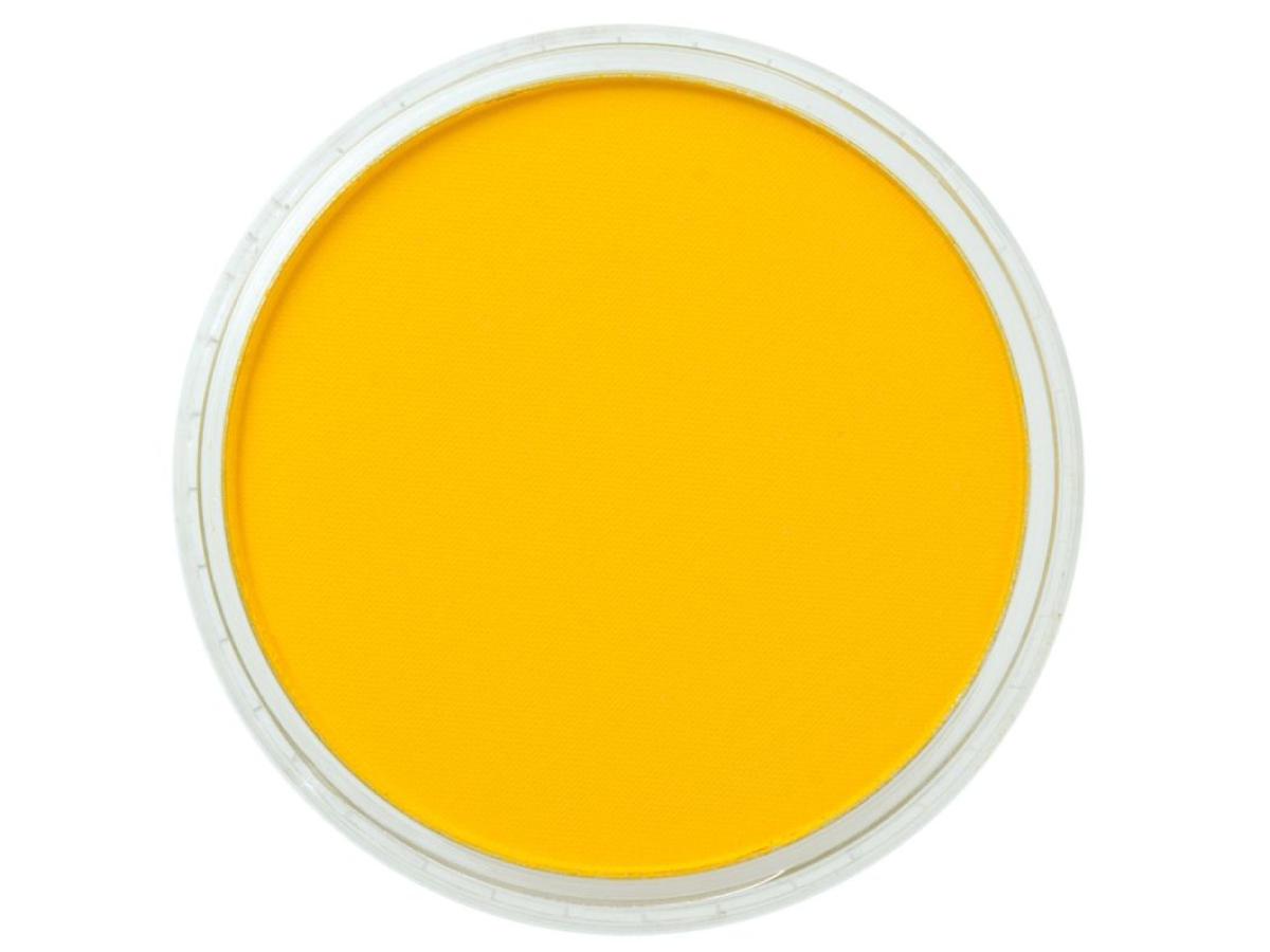 PANPASTEL 9ML DIARLYDE YELLOW 250.5 1