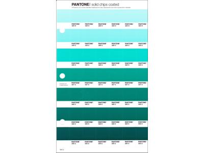 PANTONE PMS SOLID CHIPS ERSATZSEITE 164C 1