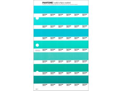 PANTONE PMS SOLID CHIPS ERSATZSEITE 166C 1