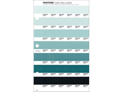 PANTONE PMS SOLID CHIPS ERSATZSEITE 173C 1