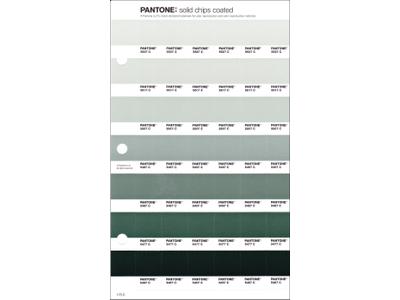 PANTONE PMS SOLID CHIPS ERSATZSEITE 175C 1