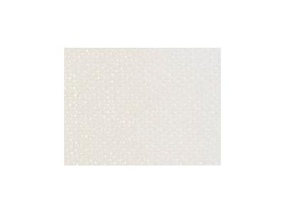ARA  ACRYLFARBE  250ML 006 ALTWEISS 1