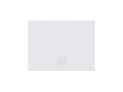 ARA  ACRYLFARBE 250ML 001 TITANWEISS 1