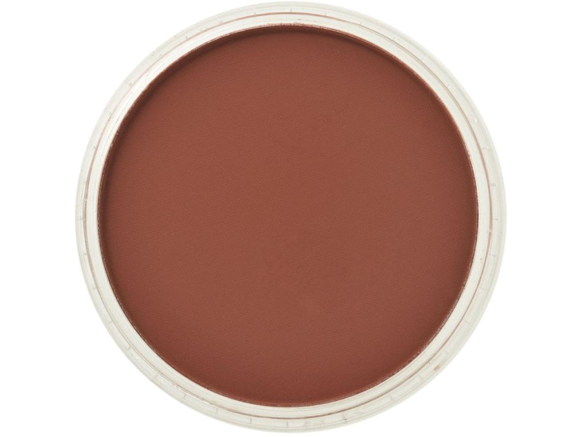 PANPASTEL 9ML RED IRON OXIDE SHADE 380.3 1