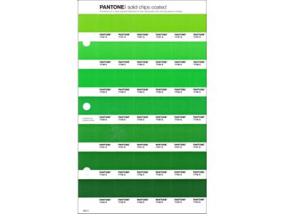 PANTONE PMS SOLID CHIPS ERSATZSEITE 189C 1