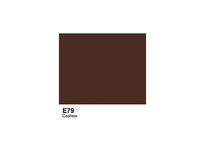 COPIC INKT E79 CASHEW COE79 1