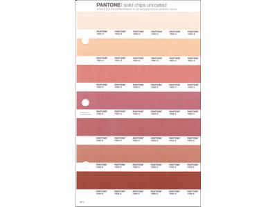 PANTONE PMS SOLID CHIPS ERSATZSEITE 36U 1
