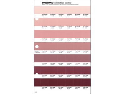 PANTONE PMS SOLID CHIPS ERSATZSEITE 35C 1