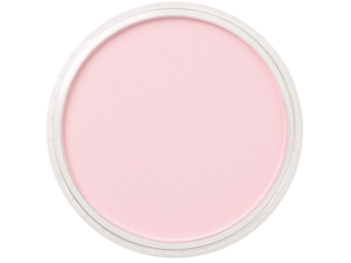 PANPASTEL 9ML PERMANENT RED TINT 340.8 1
