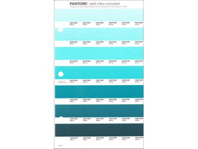 PANTONE PMS SOLID CHIPS ERSATZSEITE 170U 1