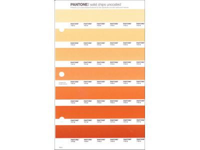PANTONE PMS SOLID CHIPS ERSATZSEITE 19U 1