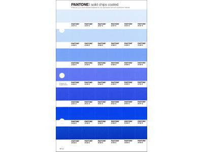 PANTONE PMS SOLID CHIPS ERSATZSEITE 121C 1