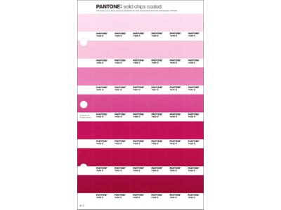PANTONE PMS SOLID CHIPS ERSATZSEITE 67C 1