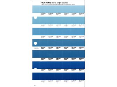 PANTONE PMS SOLID CHIPS ERSATZSEITE 142C 1