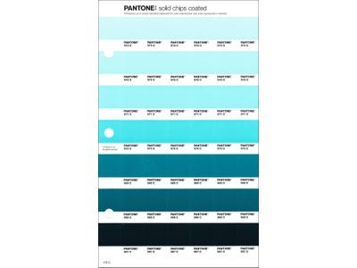 PANTONE PMS SOLID CHIPS ERSATZSEITE 170C 1