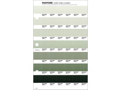 PANTONE PMS SOLID CHIPS ERSATZSEITE 174C 1