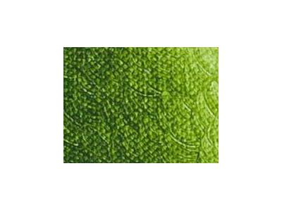 ARA ACRYLFARBE 500ML 292 SAFTGRÜN EXTRA 1