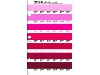 PANTONE PMS SOLID CHIPS ERSATZSEITE 59C 1