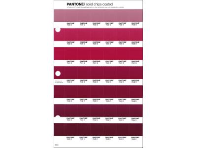 PANTONE PMS SOLID CHIPS ERSATZSEITE 58C 1