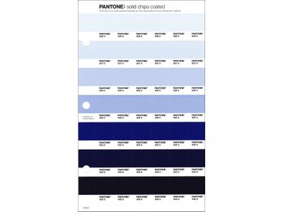 PANTONE PMS SOLID CHIPS ERSATZSEITE 110C 1