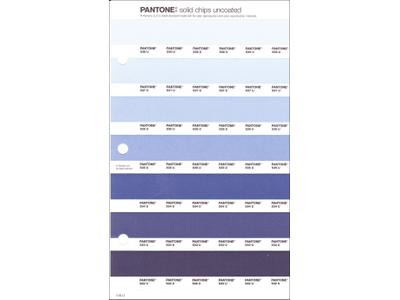 PANTONE PMS SOLID CHIPS ERSATZSEITE 110U 1