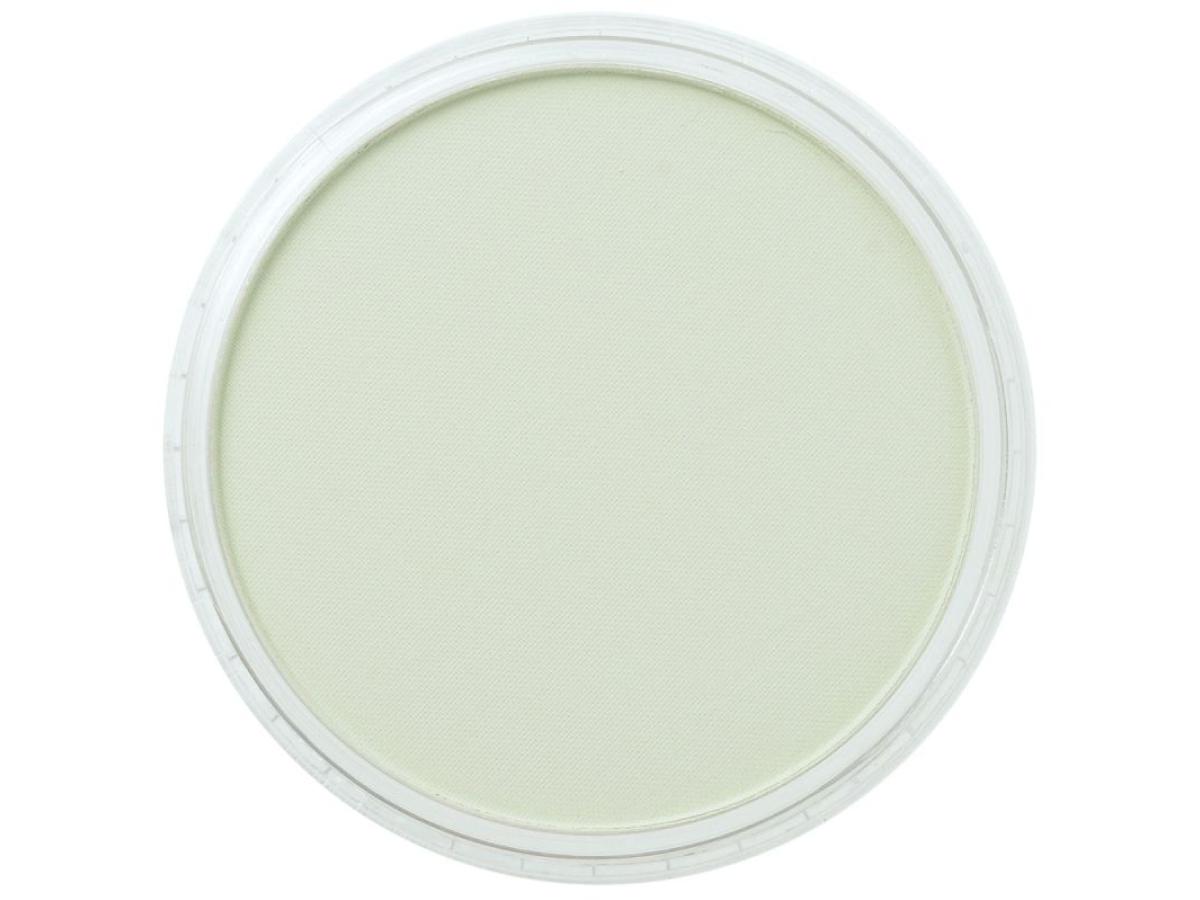 PANPASTEL 9ML CHROMIUM OXIDE GREEN TINT 660.8 1