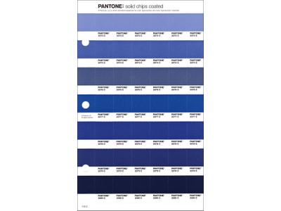 PANTONE PMS SOLID CHIPS ERSATZSEITE 113C 1