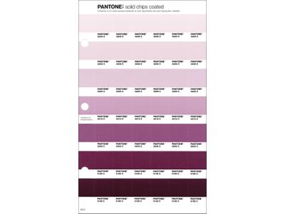 PANTONE PMS SOLID CHIPS ERSATZSEITE 83C 1