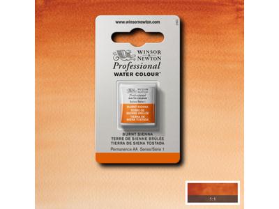 WINSOR & NEWTON AQUARELLFARBE 1/2 NÄPF S1 074 SIENA GEBRANNT 1
