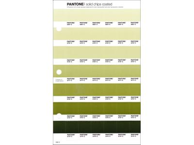 PANTONE PMS SOLID CHIPS ERSATZSEITE 202C 1