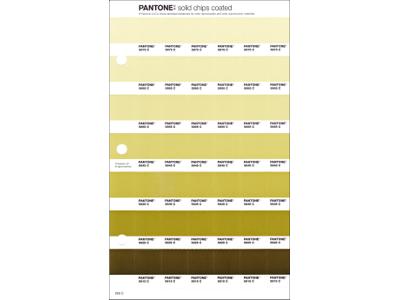 PANTONE PMS SOLID CHIPS ERSATZSEITE 203C 1