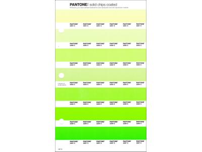 PANTONE PMS SOLID CHIPS ERSATZSEITE 197C 1