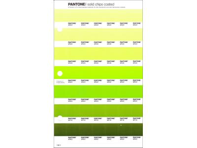 PANTONE PMS SOLID CHIPS ERSATZSEITE 198C 1