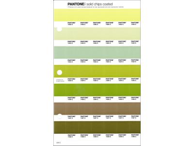 PANTONE PMS SOLID CHIPS ERSATZSEITE 205C 1