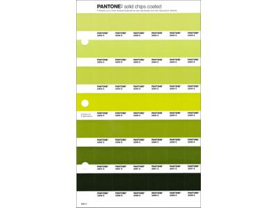 PANTONE PMS SOLID CHIPS ERSATZSEITE 206C 1