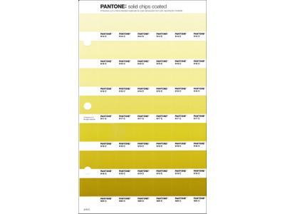 PANTONE PMS SOLID CHIPS ERSATZSEITE 216C 1