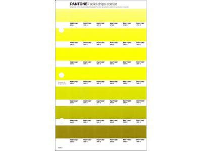 PANTONE PMS SOLID CHIPS ERSATZSEITE 208C 1