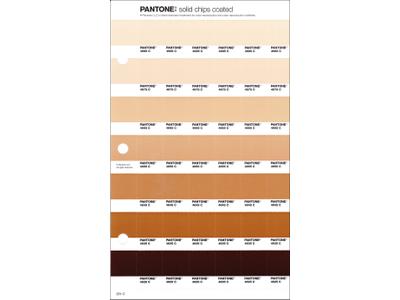 PANTONE PMS SOLID CHIPS ERSATZSEITE 231C 1