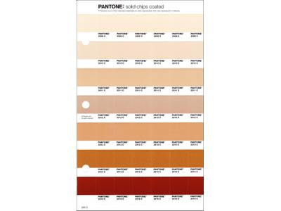 PANTONE PMS SOLID CHIPS ERSATZSEITE 230C 1